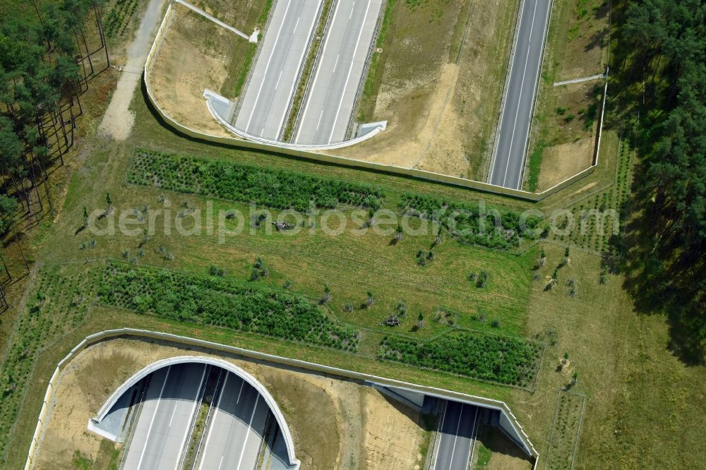 Aerial image Karstädt - Highway bridge structure applied as a wildlife crossing bridge Wild - Wild swap the BAB A 14 in Karstaedt in the state Brandenburg, Germany