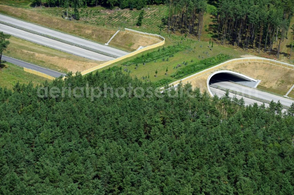 Aerial photograph Karstädt - Highway bridge structure applied as a wildlife crossing bridge Wild - Wild swap the BAB A 14 in Karstaedt in the state Brandenburg, Germany