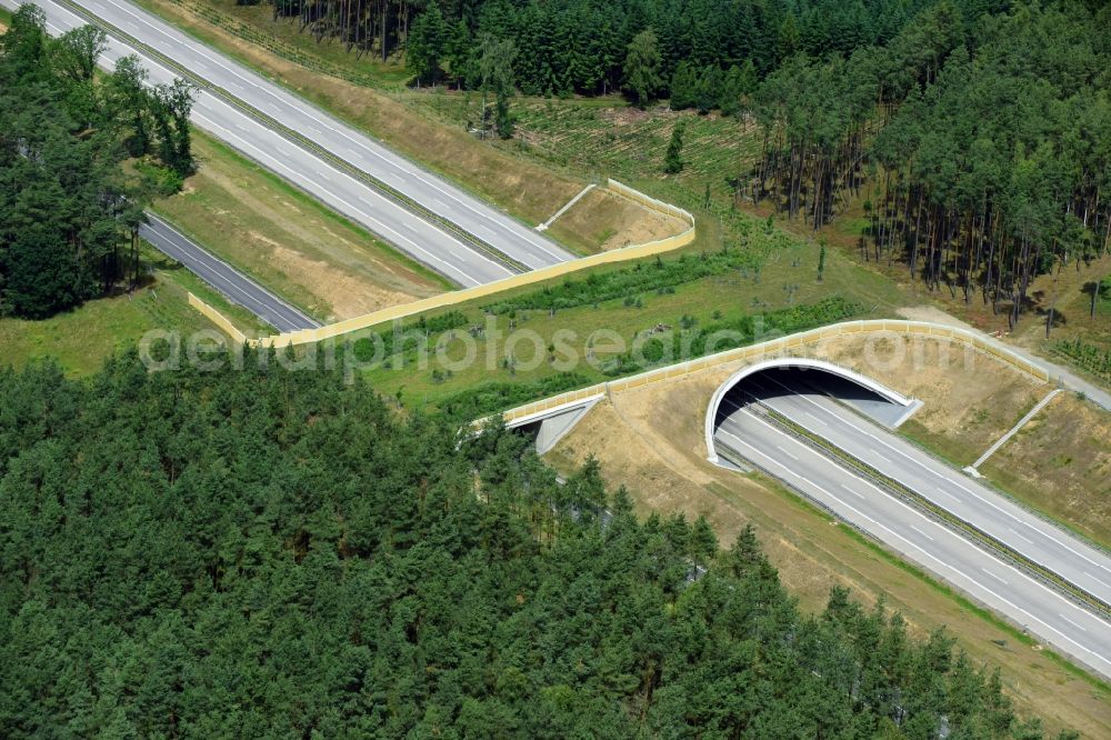 Karstädt from the bird's eye view: Highway bridge structure applied as a wildlife crossing bridge Wild - Wild swap the BAB A 14 in Karstaedt in the state Brandenburg, Germany