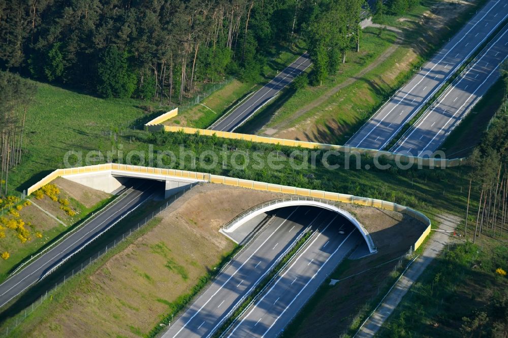 Karstädt from the bird's eye view: Highway bridge structure applied as a wildlife crossing bridge Wild - Wild swap the BAB A 14 in Karstaedt in the state Brandenburg, Germany