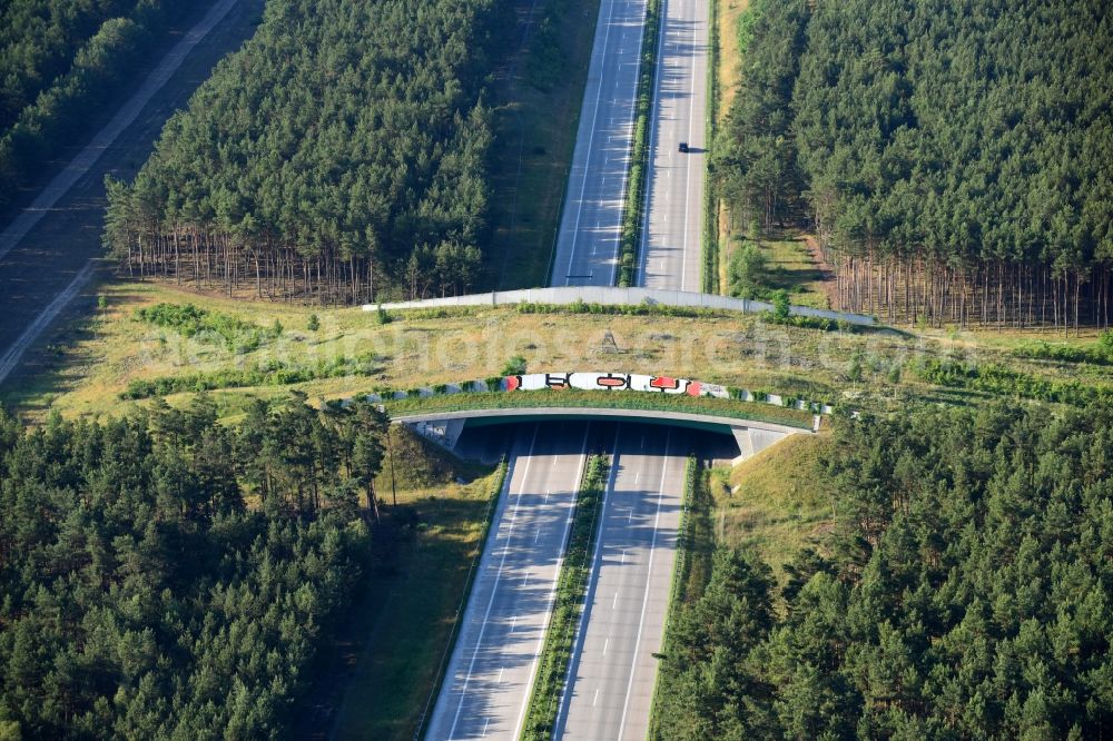 Teupitz from above - Highway bridge structure applied as a wildlife crossing bridge Wild - Wild swap the BAB A 13 in Teupitz in the state Brandenburg, Germany