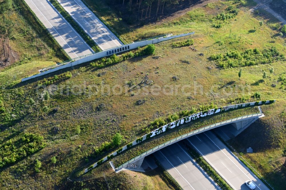 Teupitz from the bird's eye view: Highway bridge structure applied as a wildlife crossing bridge Wild - Wild swap the BAB A 13 in Teupitz in the state Brandenburg, Germany