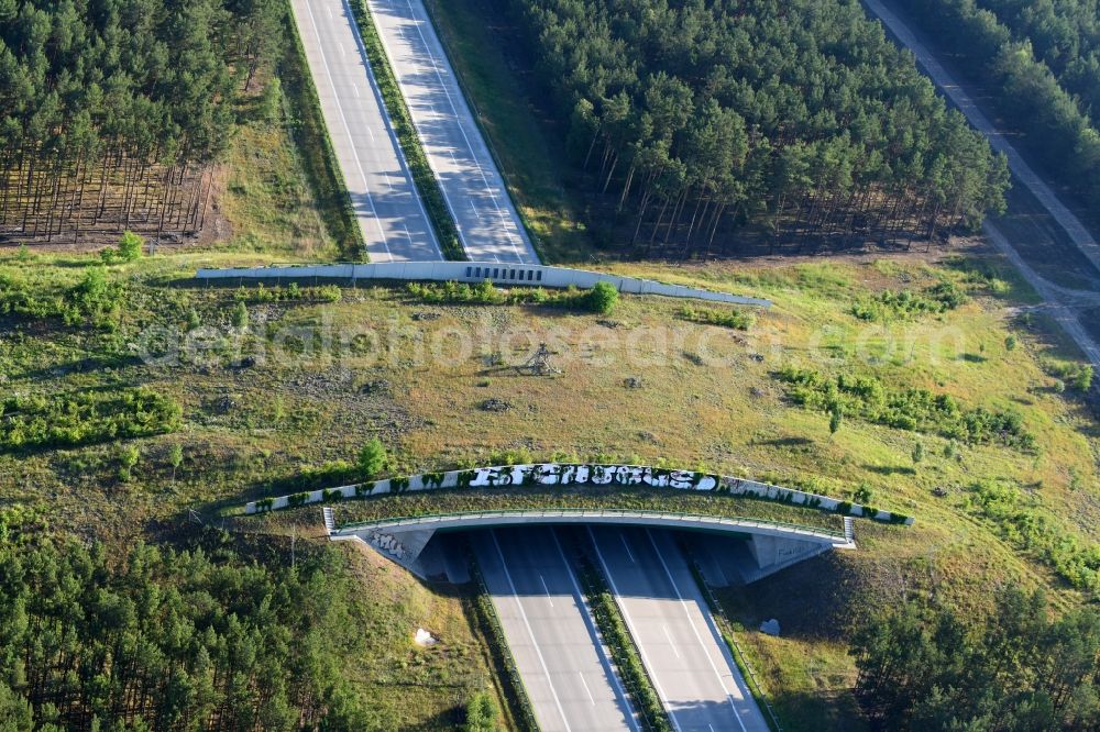 Aerial image Teupitz - Highway bridge structure applied as a wildlife crossing bridge Wild - Wild swap the BAB A 13 in Teupitz in the state Brandenburg, Germany