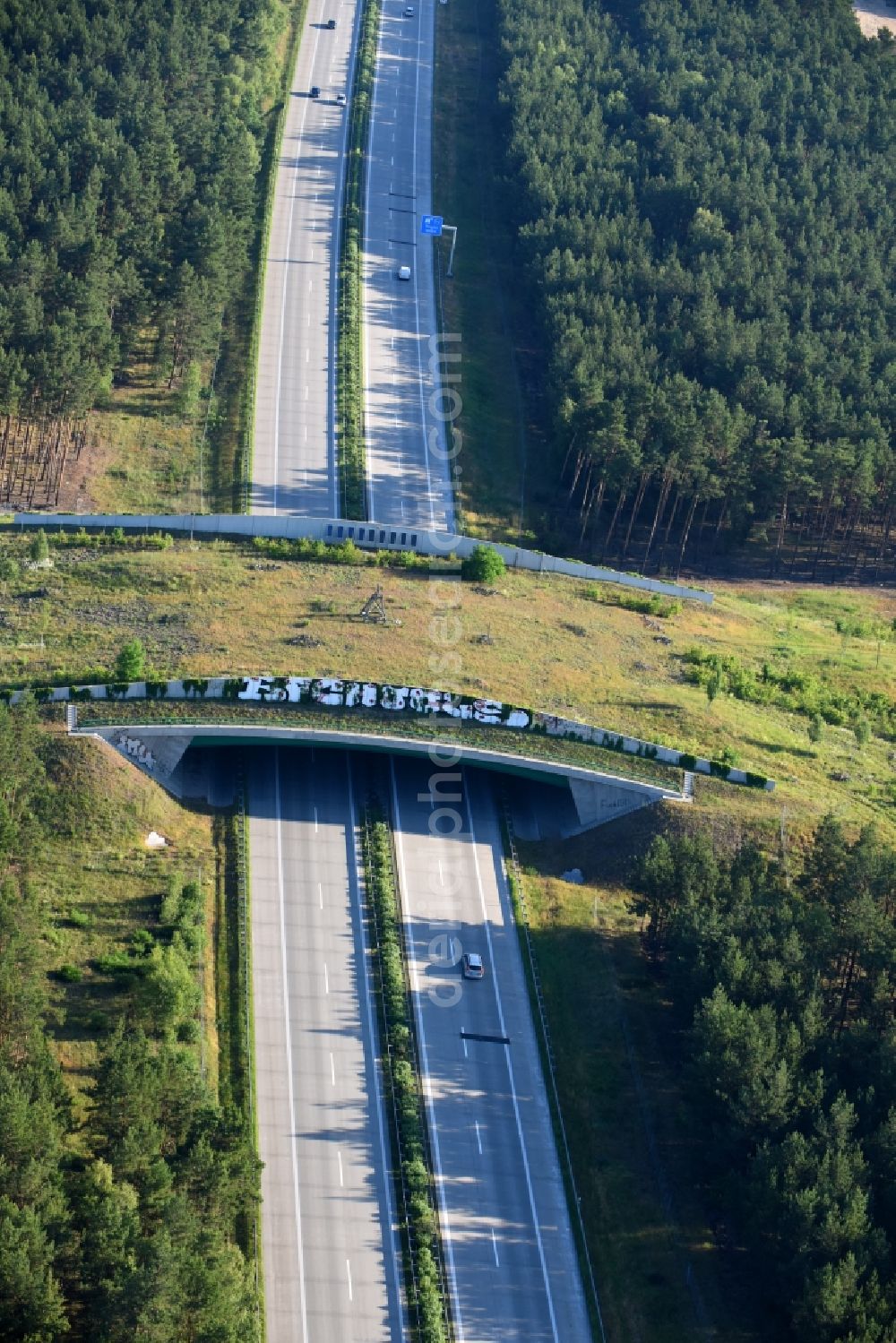 Teupitz from above - Highway bridge structure applied as a wildlife crossing bridge Wild - Wild swap the BAB A 13 in Teupitz in the state Brandenburg, Germany