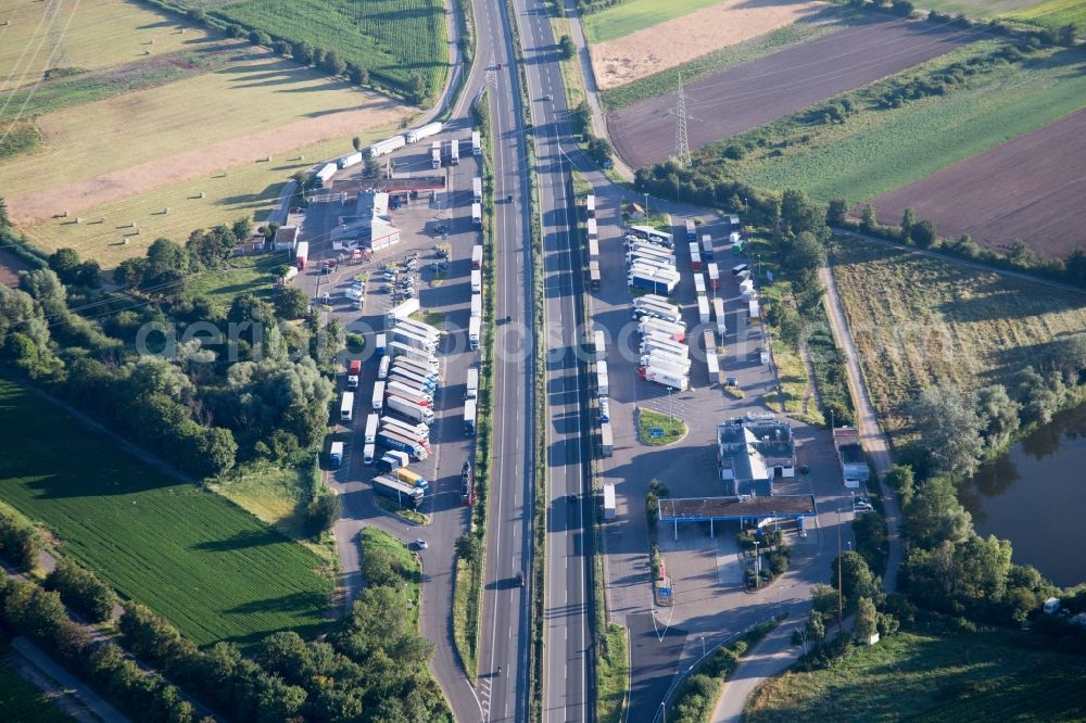 Aerial image Dannstadt-Schauernheim - Motorway service area on the edge of the course of BAB highway 61 in Dannstadt-Schauernheim in the state Rhineland-Palatinate