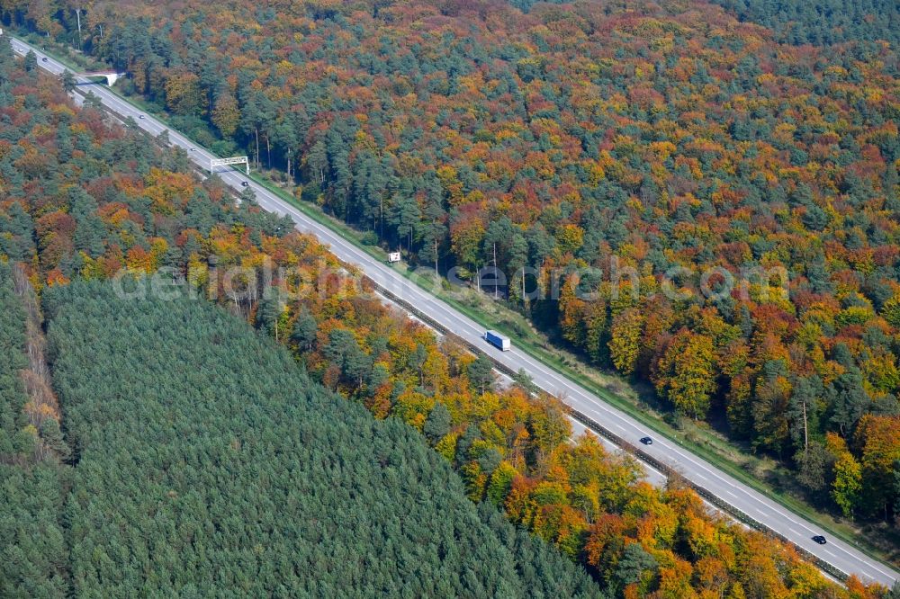 Aerial image Lanke - Highway route BAB A14 in autumnally colored foliage - mixed forest in in Lanke in the state Brandenburg, Germany