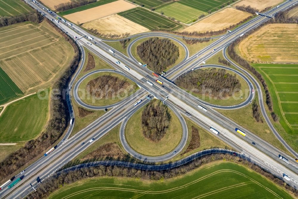 Werl from above - Traffic flow at the intersection- motorway A44 - BAB 445 in form of cloverleaf in Werl at Ruhrgebiet in the state North Rhine-Westphalia, Germany