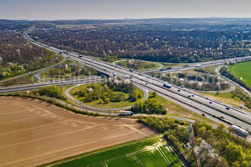 Aerial photograph Kerpen - Traffic flow at the intersection- motorway A 4 - A61 in Kerpen in the state North Rhine-Westphalia, Germany