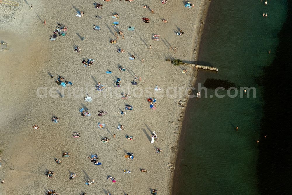 Leipzig from the bird's eye view: Bathers look to cool off in summer on the banks of the Freizeitcampus on Cospudener lake in the district Lauer in Leipzig in the state Saxony, Germany