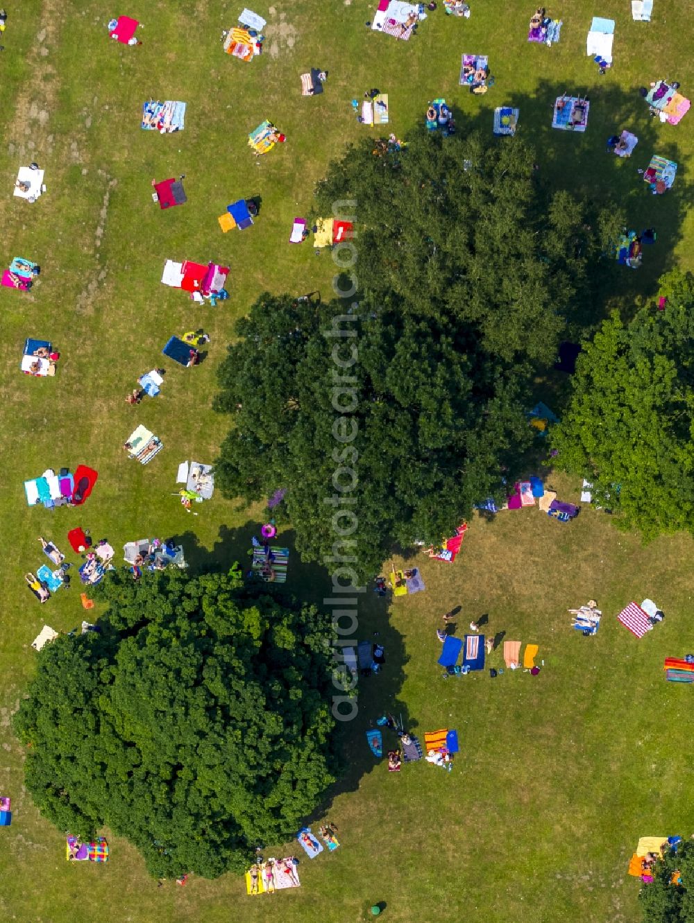 Aerial photograph Bochum - Bathers on the lawns in Bochum in North Rhine-Westphalia