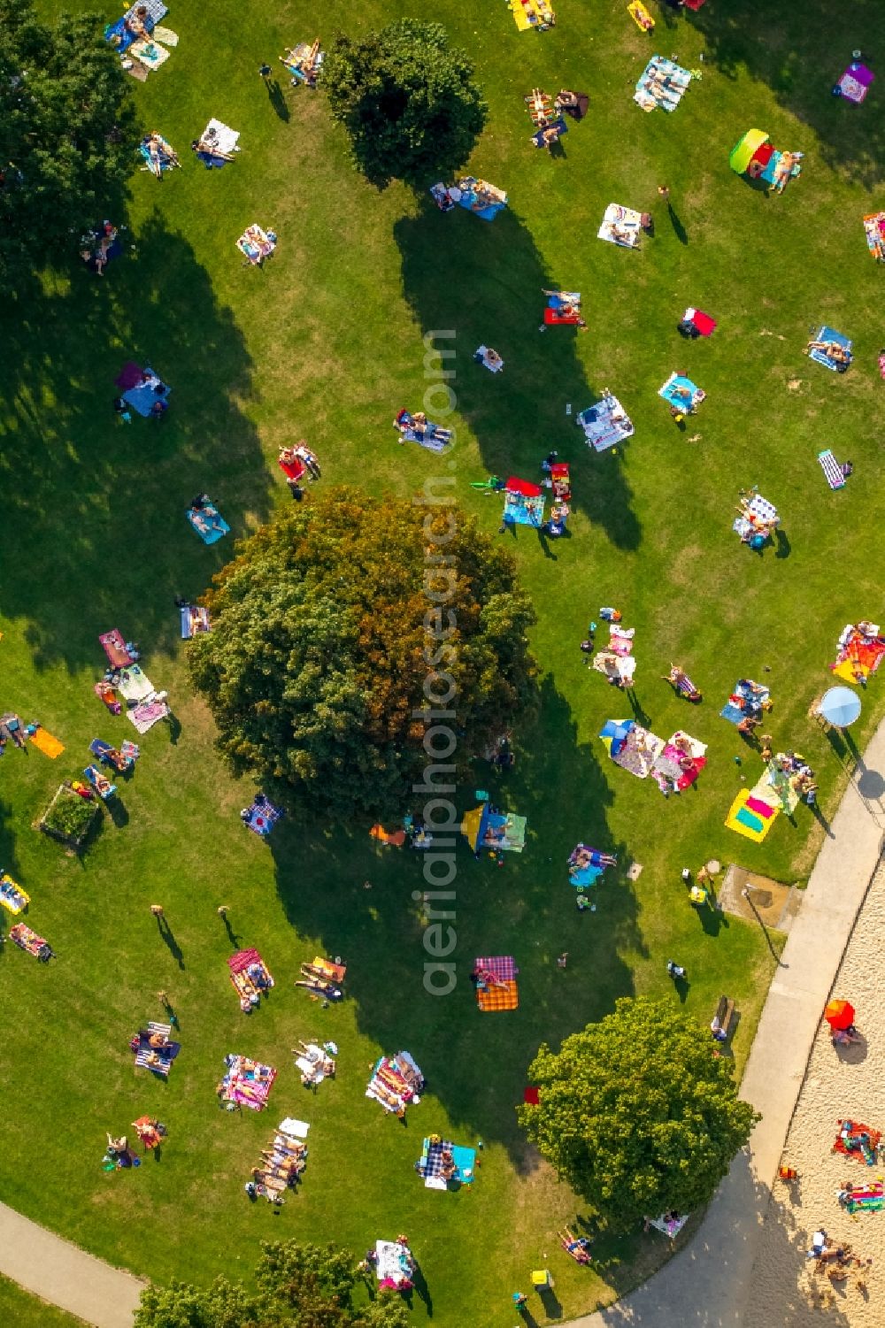 Düsseldorf from the bird's eye view: Badegaeste auf den Liegewiesen am Schwimmbecken des Freibades in Duesseldorf in the state North Rhine-Westphalia