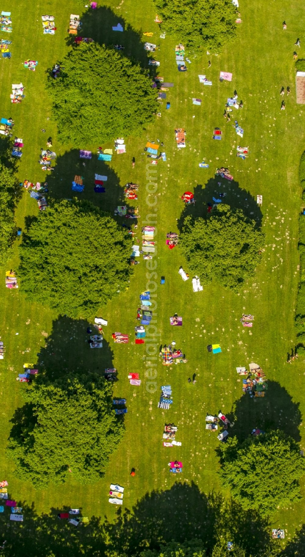 Heiligenhaus from above - Badegaeste auf den Liegewiesen am Schwimmbecken des Freibades in Heiligenhaus in the state North Rhine-Westphalia