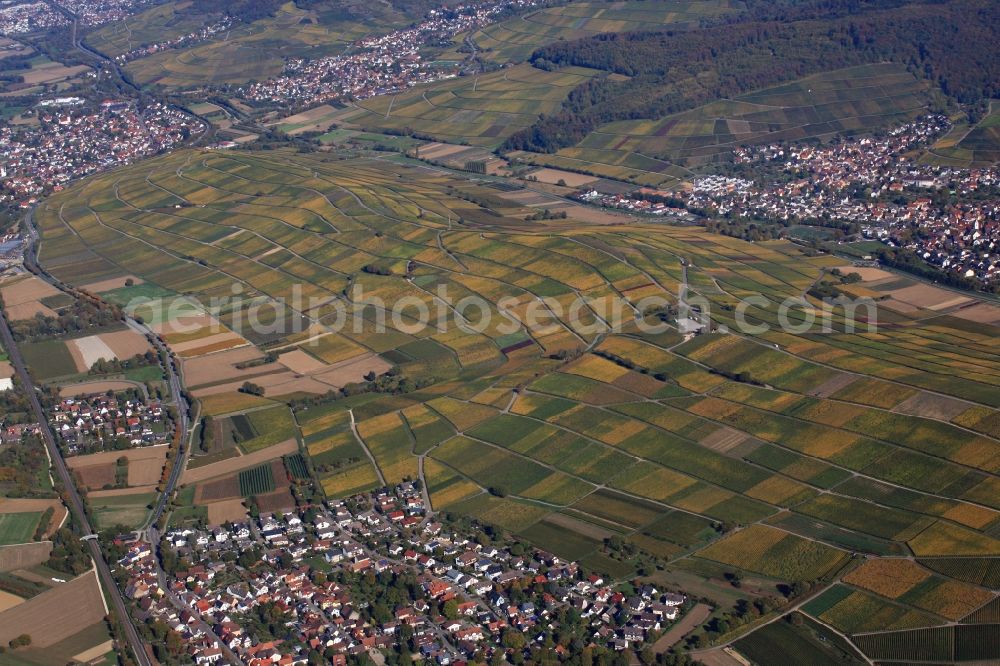 Ehrenkirchen from above - Autumn in the vineyard Batzenberg with structures of the roads to grow the vine of Baden between the villages Norsingen and Pfaffenweiler in the state Baden-Wuerttemberg, Germany