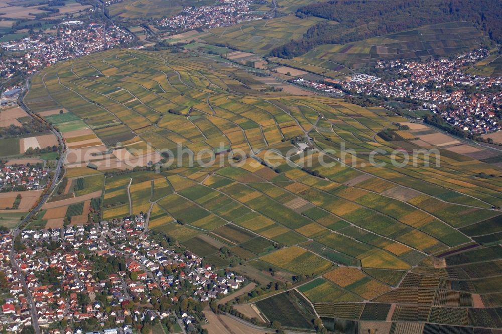 Ehrenkirchen from the bird's eye view: Autumn in the vineyard Batzenberg with structures of the roads to grow the vine of Baden between the villages Norsingen and Pfaffenweiler in the state Baden-Wuerttemberg, Germany