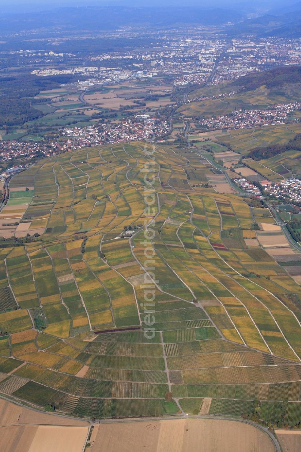 Ehrenkirchen from above - Autumn in the vineyard Batzenberg with structures of the roads to grow the vine of Baden between the villages Norsingen and Pfaffenweiler in the state Baden-Wuerttemberg, Germany