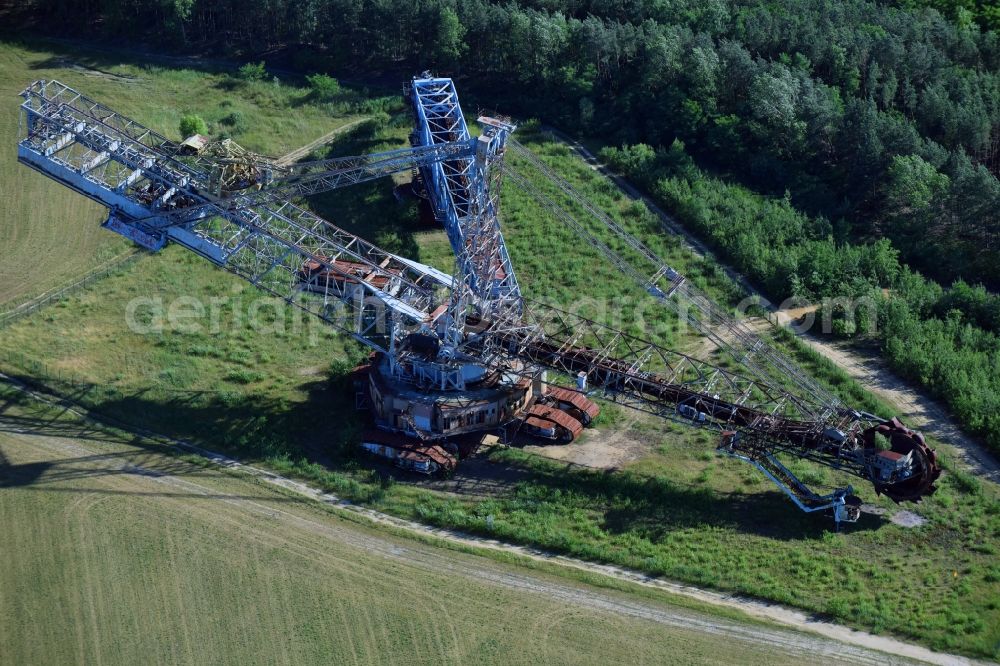 Aerial image Schipkau - Excavator conveyor in the renaturation area of the former brown coal opencast mine in the district of Hoerlitz in Schipkau in the state of Brandenburg, Germany