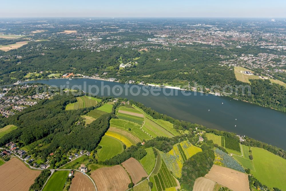 Essen from the bird's eye view: View of the Baldeney Lake in Essen in the state North Rhine-Westphalia. The Baldeney Lake is the largest of the six Ruhr artificial lakes. The Lake has been closed to bathing for decades