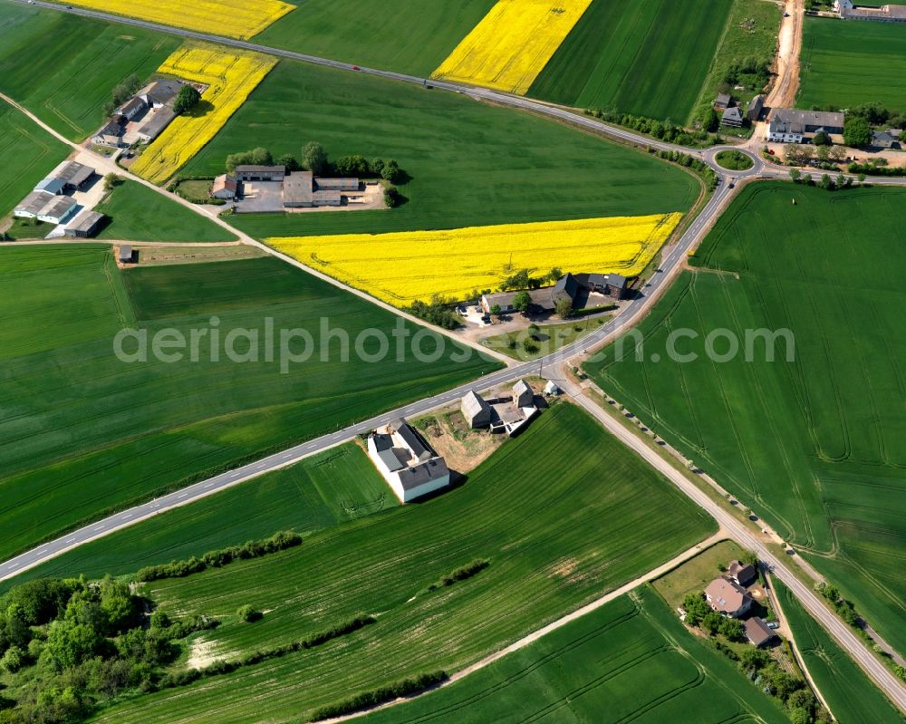 Welling from the bird's eye view: View over Welling to Trimbs in the state of Rhineland-Palatinate. The agricultural borough and municipiality is located in the county district of Mayen-Koblenz, above the Valley of the river Nette, and is surrounded by meadows and rapeseed fields. The farms and agricultural estates are located outside the village centre