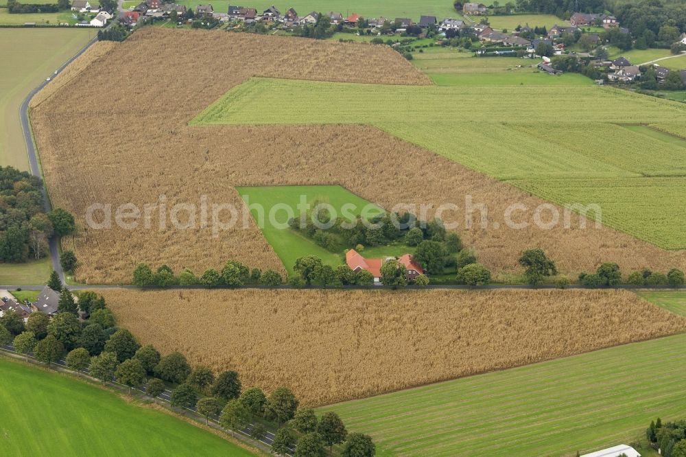 Alpen from the bird's eye view: Farm by the side of the road Boenninghardter Strasse nearthe village Alpen in North Rhine-Westphalia