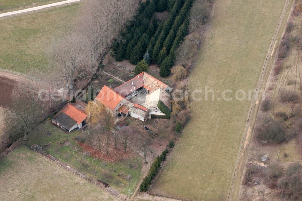 Nieder-Hilbersheim from the bird's eye view: Farm in Nieder-Hilbersheim in the state of Rhineland-Palatinate