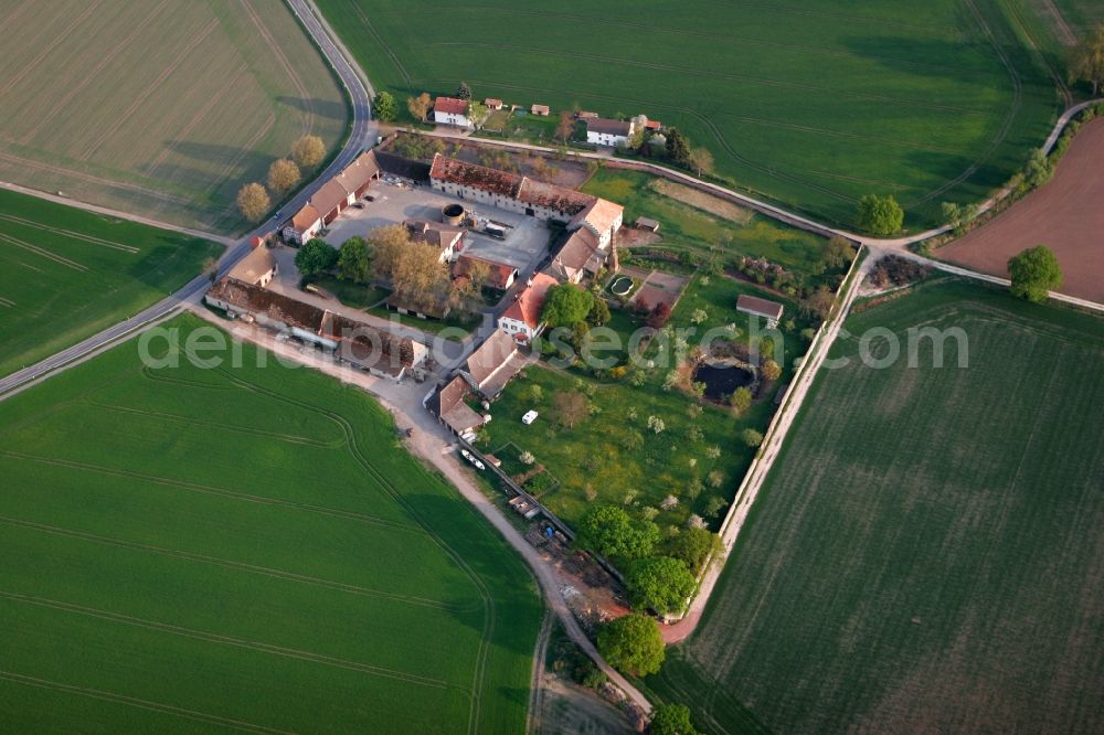 Aerial image Riedstadt - A property with courtyard, surrounded by fields, reed city in the state of Hesse