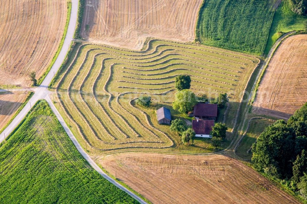 Aerial photograph Reisbach - Farm on the edge of mowed meadows in Reisbach in the state Bavaria