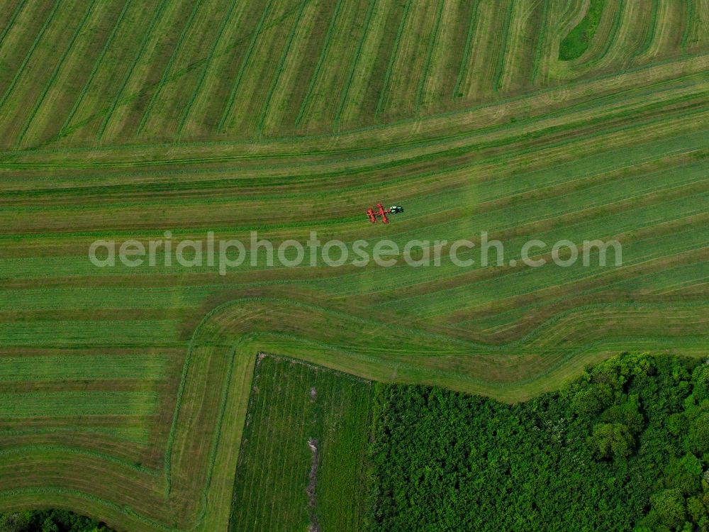 Burg from above - View of tree and field structures near Burg in the state Brandenburg