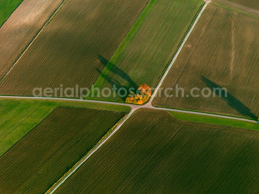 Daiting from above - View of tree and field structures near Daiting in the state Bavaria