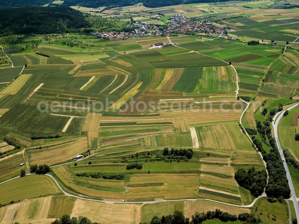 Dettingen an der Iller from the bird's eye view: View of tree and field structures near Dettingen an der Iller in the state Baden-Wuerttemberg