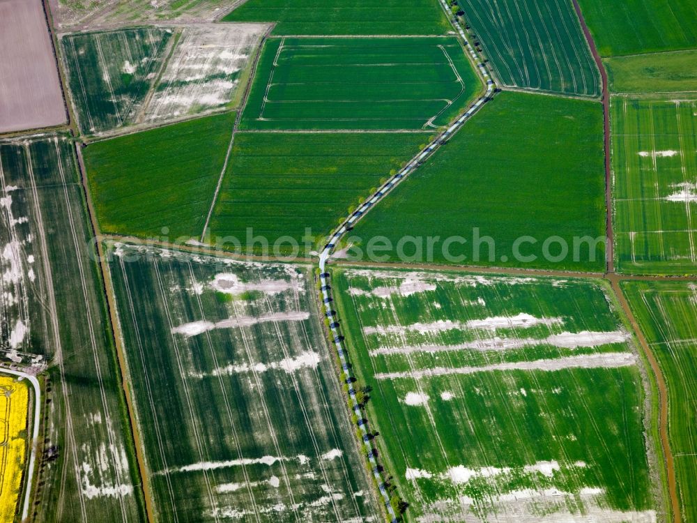 Emden from the bird's eye view: View of tree and field structures near Emden in the state Lower Saxony