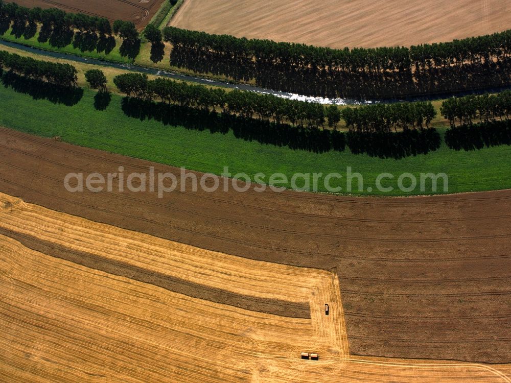 Aerial image Mühlhausen - View of tree and field structures near Muehlhausen in the state Thuringia