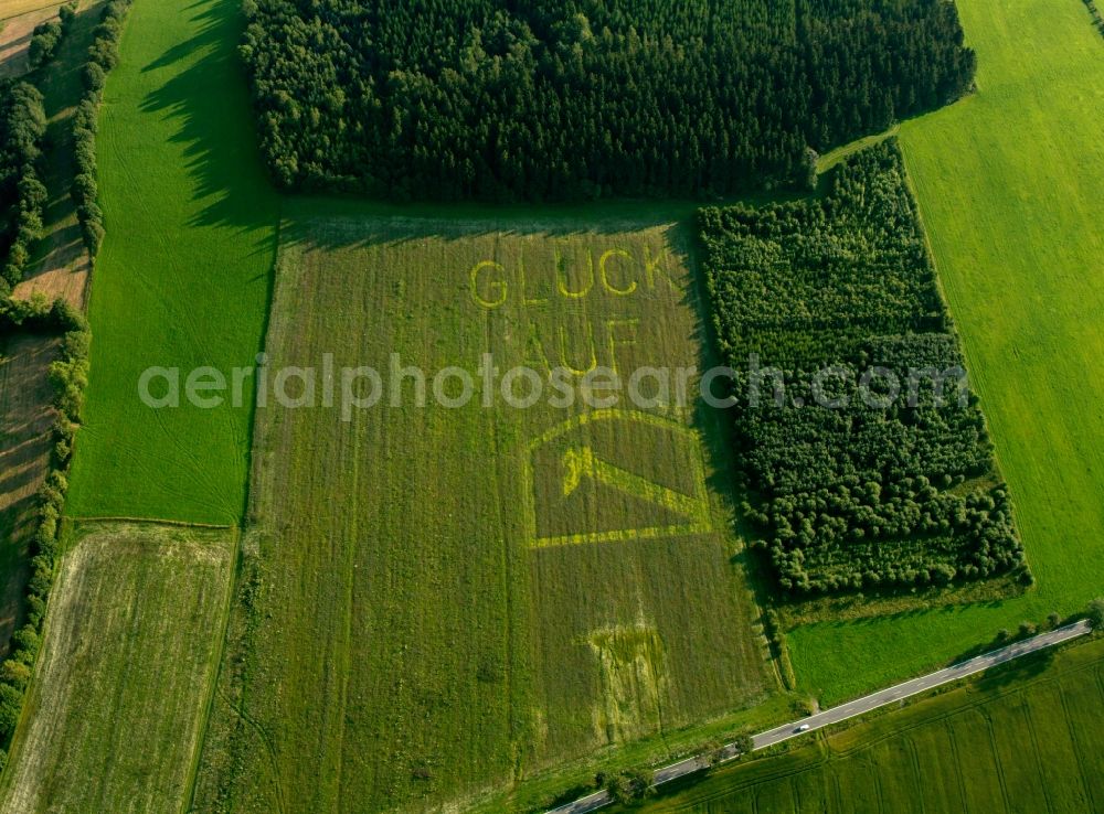 Aerial photograph Olbernhau - View of tree and field structures near Olbernhau in the state Saxony