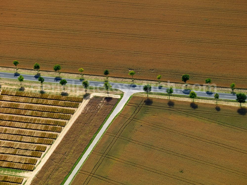 Aerial image Würzburg - View of tree and field structures near Wuerzburg in the state Bavaria