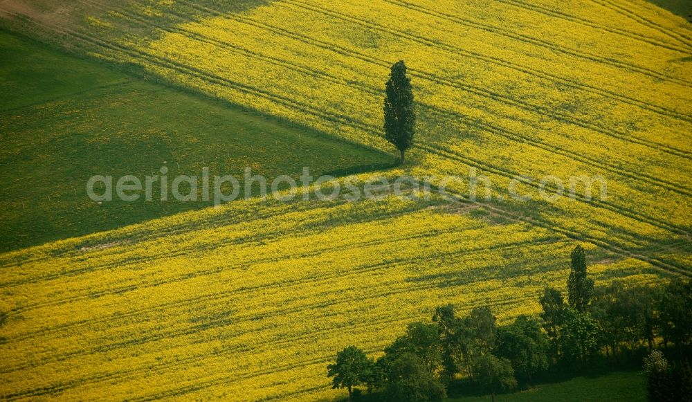 Bergkamen from above - View of tree and field structures in Bergkamen in the state North Rhine-Westphalia