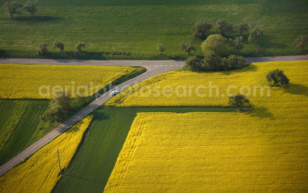 Gieleroth from the bird's eye view: View of tree and field structures in Gieleroth in the state of Rhineland-Palatinate