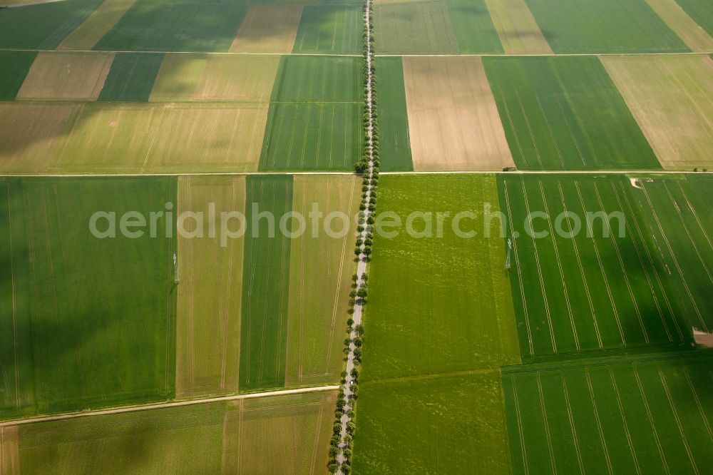 Aerial image Emmerthal OT Grohnde - View of tree and field structures in the district of Grohnde in Emmerthal in the state of Lower Saxony