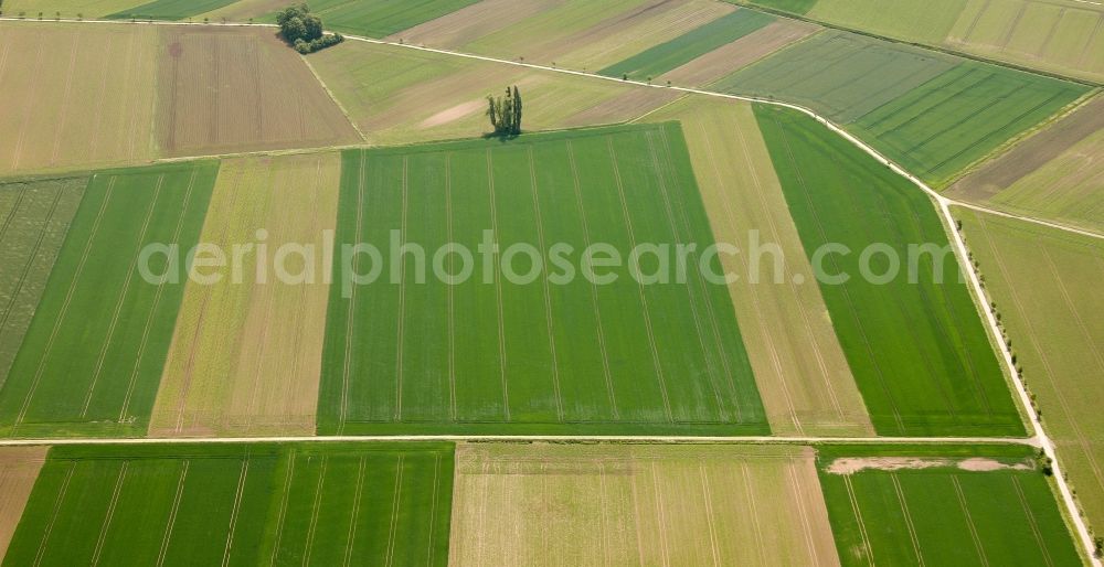 Emmerthal OT Grohnde from above - View of tree and field structures in the district of Grohnde in Emmerthal in the state of Lower Saxony