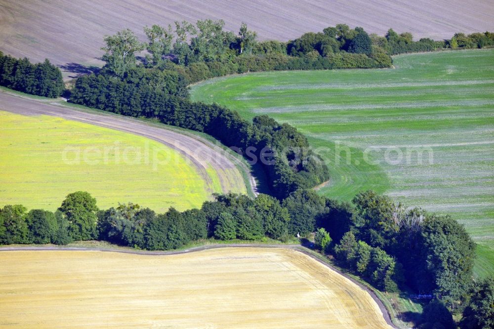 Aerial photograph Möckern OT Zeddenick - View of tree and field structures in the district of Zeddenick in Moeckern in the state of Saxony-Anhalt