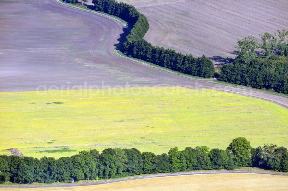 Möckern OT Zeddenick from above - View of tree and field structures in the district of Zeddenick in Moeckern in the state of Saxony-Anhalt