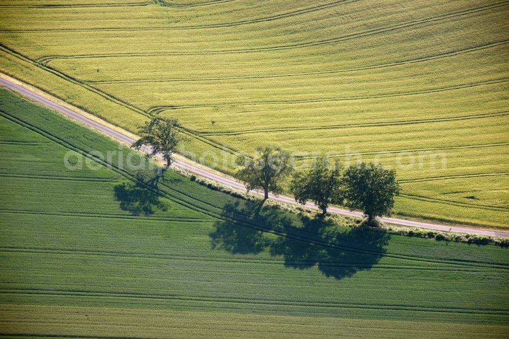 Aerial photograph Welver - View of tree and field structures in Welver in the state of North Rhine-Westphalia