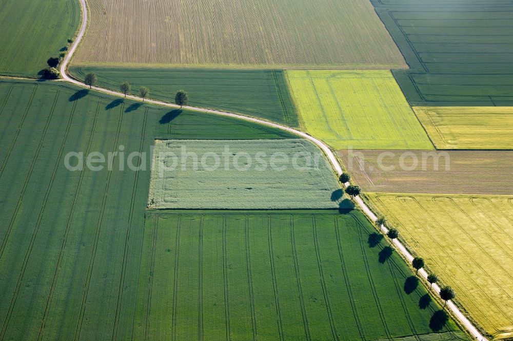 Aerial photograph Welver - View of tree and field structures in Welver in the state of North Rhine-Westphalia