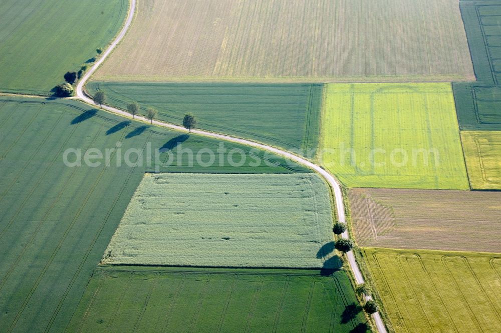 Welver from above - View of tree and field structures in Welver in the state of North Rhine-Westphalia