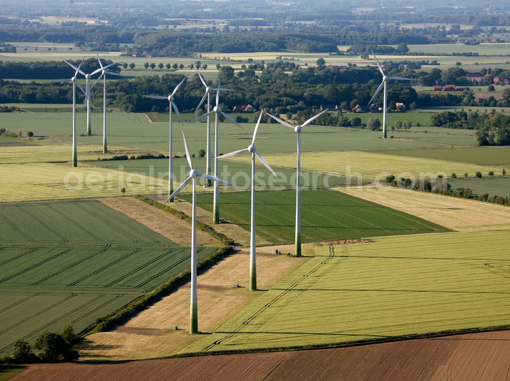 Aerial photograph Welver - View of tree and field structures in Welver in the state of North Rhine-Westphalia