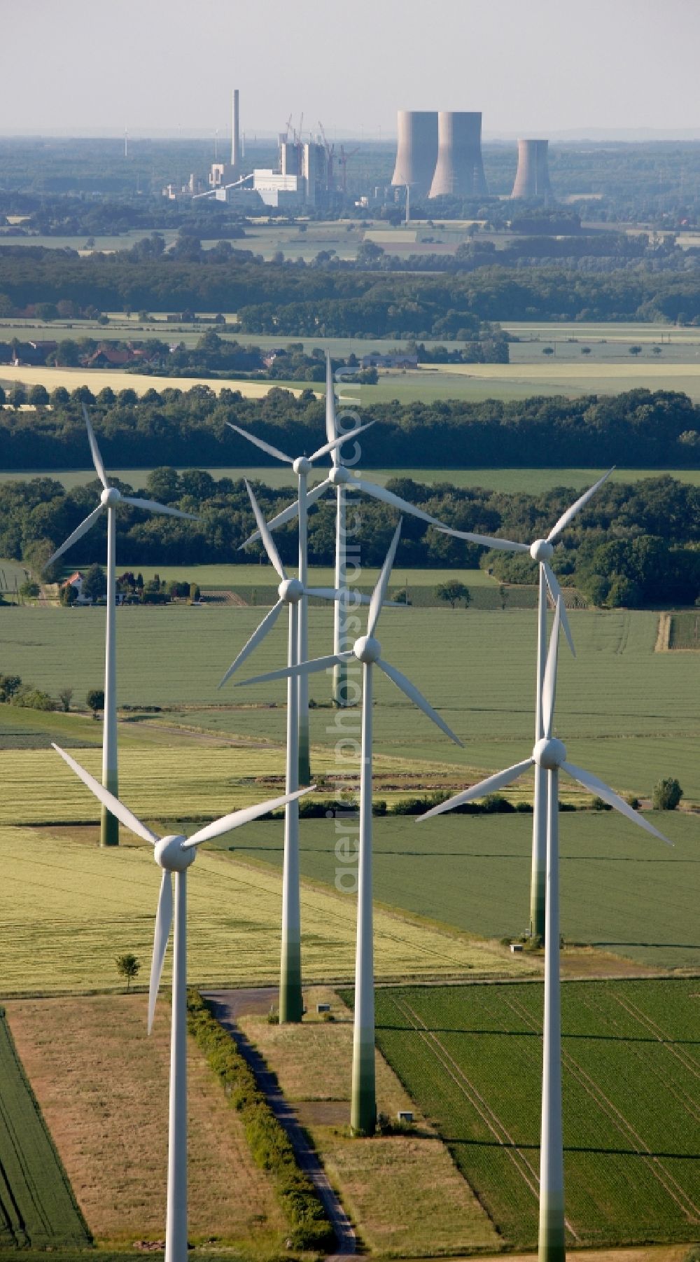 Welver from the bird's eye view: View of tree and field structures in Welver in the state of North Rhine-Westphalia