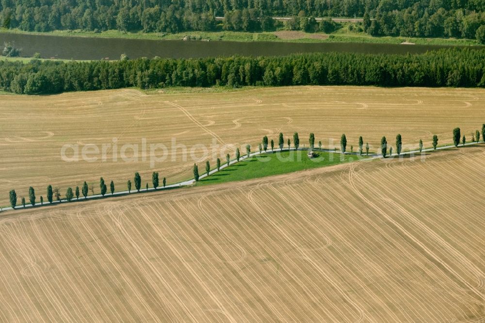 Thürmsdorf from above - Island of trees in a harvested field in Thuermsdorf in the state Saxony, Germany