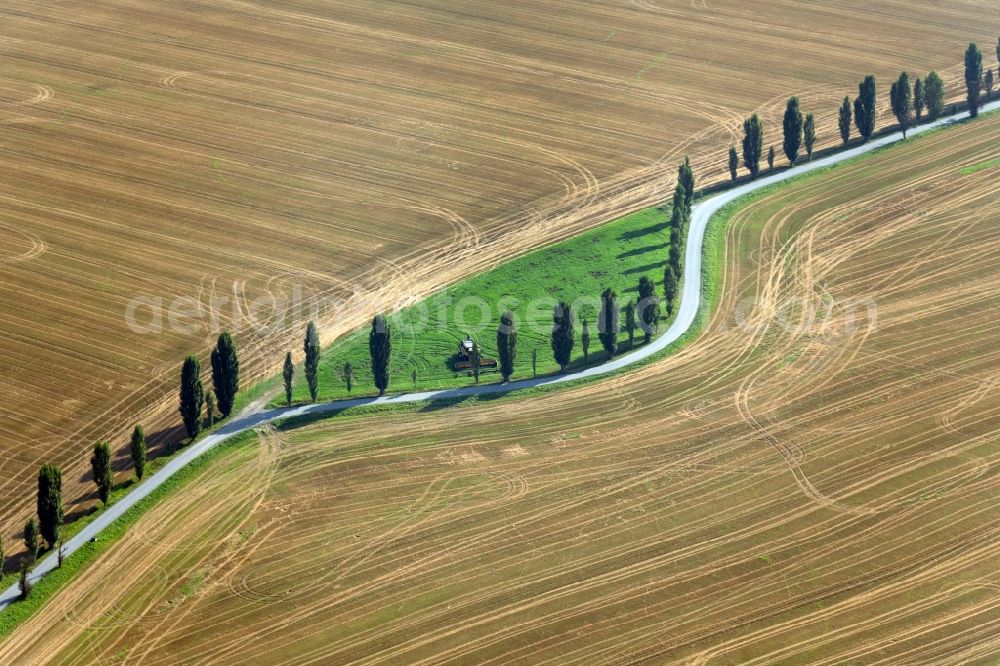 Aerial photograph Thürmsdorf - Island of trees in a harvested field in Thuermsdorf in the state Saxony, Germany