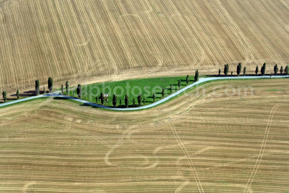 Thürmsdorf from above - Island of trees in a harvested field in Thuermsdorf in the state Saxony, Germany