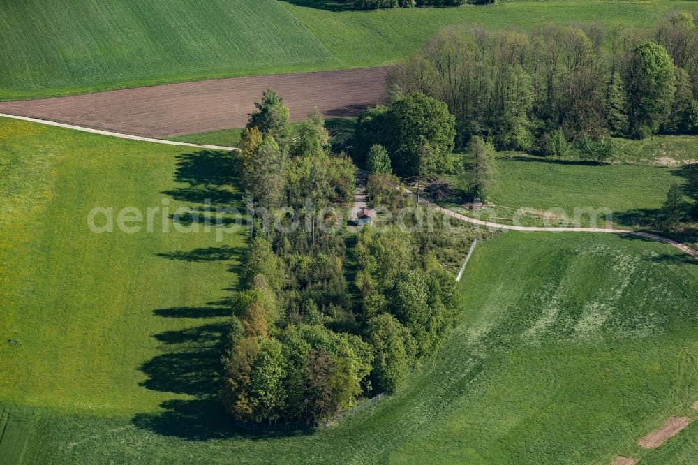 Bad Aibling from above - Island of trees in a field in Bad Aibling in the state Bavaria, Germany