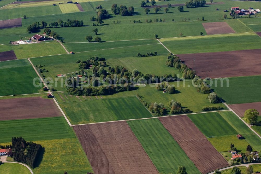 Aerial image Bad Aibling - Island of trees in a field in Bad Aibling in the state Bavaria, Germany