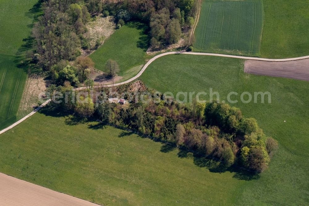 Aerial photograph Bad Aibling - Island of trees in a field in Bad Aibling in the state Bavaria, Germany